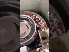 Mesin Pengemasan Granule Tipe Vertikal Multi Fungsi Untuk Kacang Cokelat Kacang Kacang Makanan ringan