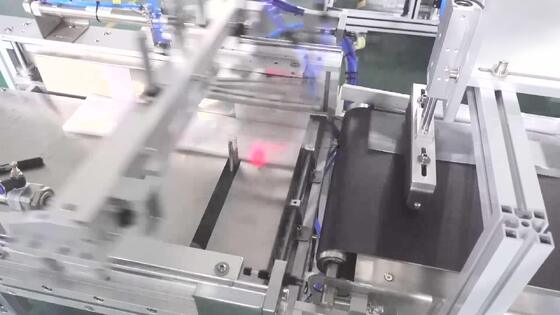 Manufacturer Fully Automatic Lift-and-Labeling Machine CH-602F for Food Self-Sealing Bags and PE Plastic Bags