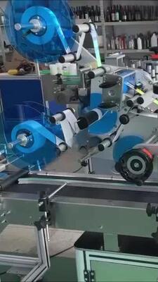 Manufacturer Fully Automatic Lift-and-Labeling Machine CH-602F for Food Self-Sealing Bags and PE Plastic Bags