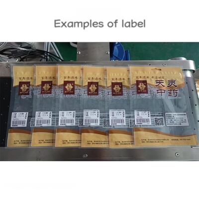 Manufacturer Fully Automatic Lift-and-Labeling Machine CH-602F for Food Self-Sealing Bags and PE Plastic Bags