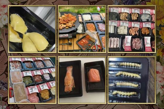 Hand Pressed Body Vacuum Skin Sealing Machine with Food Grade 304 Stainless Steel and 6061 Anodized Aluminum Mold for Fast Food Trays